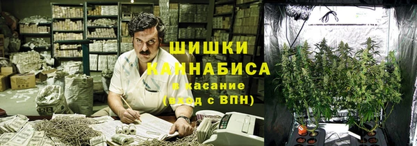прущие крисы Зеленокумск
