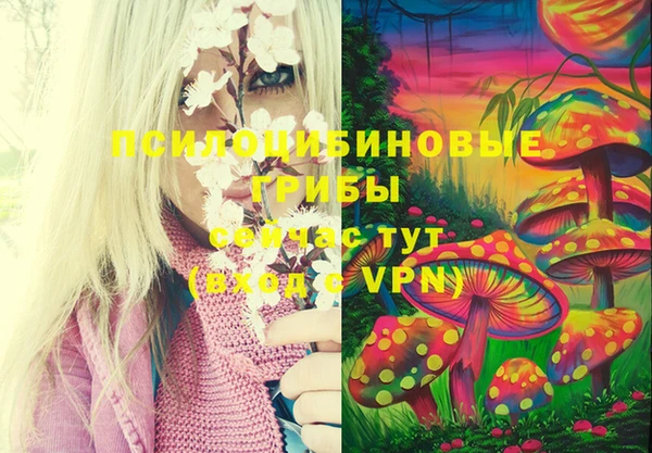 дурь Зерноград
