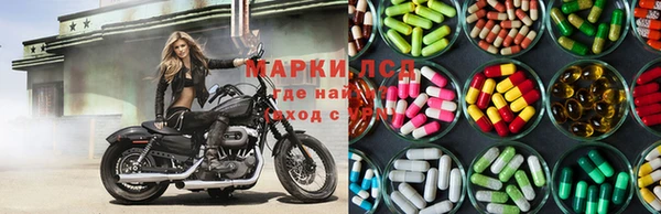 прущие крисы Зеленокумск