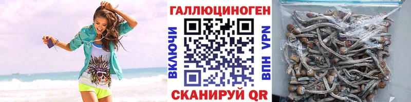 Галлюциногенные грибы MAGIC MUSHROOMS  Купить где  Высоковск 